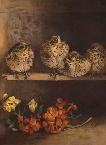 雏鸟和花朵（chromolitho） 作者 英语学校