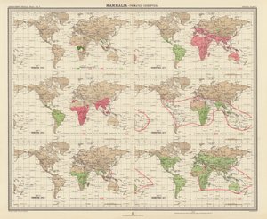 动物地理学：哺乳纲、灵长目、脊兽纲（彩色石版画） 作者 英语学校