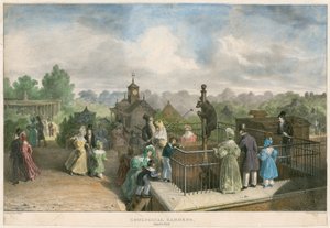 摄政公园动物园（彩色版画） 作者 英语学校