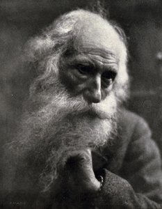 Close-up of the famous sculptor Vincenzo Gemito. The elderly artist is caressing his thick white beard (b/w photo) 作者 埃斯科·马萨利亚（Ercole Massaglia）
