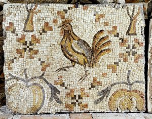  作者 埃里希·莱辛