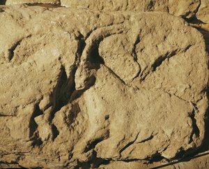  作者 埃里希·莱辛