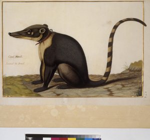  作者 埃里希·莱辛