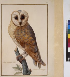  作者 埃里希·莱辛