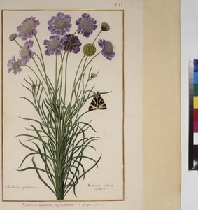  作者 埃里希·莱辛