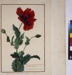  作者 埃里希·莱辛