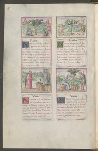  作者 埃里希·莱辛