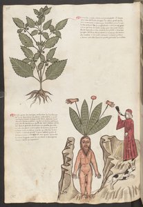  作者 埃里希·莱辛