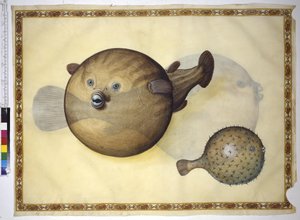  作者 埃里希·莱辛