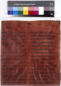  作者 埃里希·莱辛