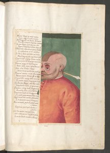  作者 埃里希·莱辛