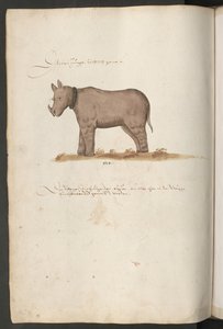  作者 埃里希·莱辛