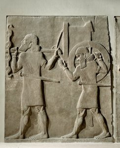  作者 埃里希·莱辛