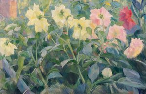 大丽花 作者 埃里克·西奥多·韦伦斯基尔德