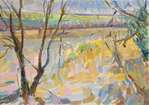 来自Rousham II的Flooded Cherwell