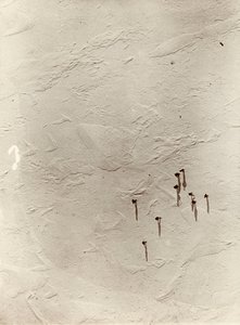 从热气球上俯瞰高原上的 "发现 "号（1901 年）。摘自欧内斯特-亨利-沙克尔顿爵士的画册《国家南极探险（1901-1903 年） 作者 欧内斯特·亨利·沙克尔顿