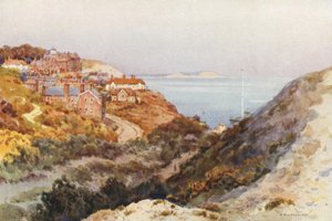 Boscombe Chine（彩色印刷版） 作者 欧内斯特·威廉·哈斯勒赫斯特