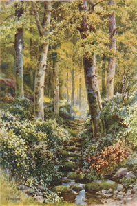 Fairlight Glen（彩色印刷） 作者 欧内斯特·威廉·哈斯勒赫斯特