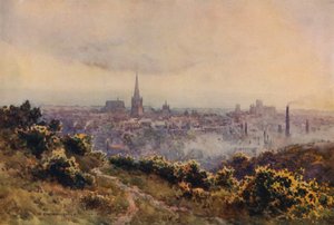 来自 Mousehold Heath 的诺维奇（彩色光刻） 作者 欧内斯特·威廉·哈斯勒赫斯特
