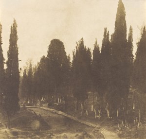 土耳其：斯库塔里公墓，1852 年（照片） 作者 欧内斯特·德·卡兰萨