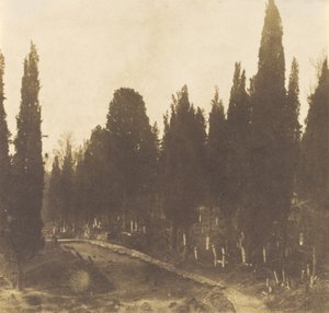 土耳其：斯库塔里公墓，1852年。 作者 欧内斯特·德·卡兰萨
