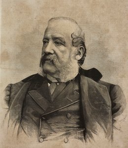 Gerolamo Induno (1825-1890) 的肖像，意大利画家，Ernesto Mancastropa 根据 Guigoni 和 Bossi 的照片雕刻，来自 L