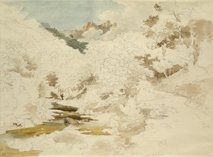 马萨附近的林地（铅笔和纸上的wc） 作者 恩斯特·弗里斯