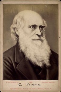 英国自然学家查尔斯·达尔文（Charles Darwin），c1860s-c1870s 作者 恩斯特·哈德（Ernst Hader）