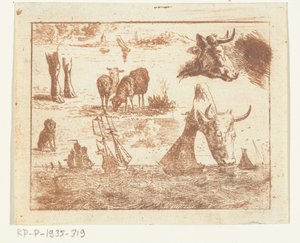 画有海景、两个牛头、羊、狗和两条腿的学习用纸