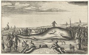 诺德韦克海滩上搁浅的抹香鲸，1614 年 作者 以赛亚斯·范德韦尔德
