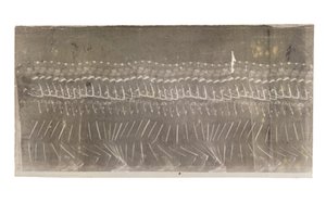 漫威，1882年