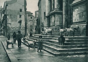 大教堂的台阶上的山羊，意大利西西里岛巴勒莫，1927年