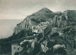 1927年，意大利卡普里岛，Monte Solaro，海景