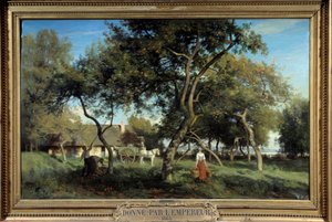 1865 年在诺曼底采摘苹果。 Eugene Lavieille 的绘画（1820-1889）