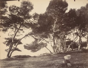 戛纳，圣奥诺拉岛，约 1899-1927 年（照片） 作者 欧仁·阿格特