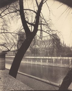 巴黎圣母院，1922 年（照片） 作者 欧仁·阿格特