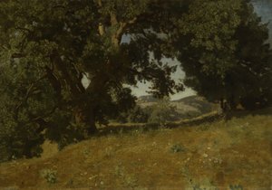 景观 作者 尤金·布莱