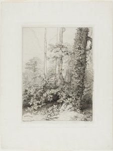 荆棘和常春藤 作者 尤金·布莱