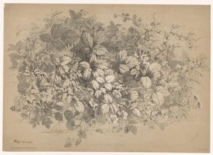 布兰门和其他植物
Ronces et plantes variées（物品标题）
开花的植物（系列名称）
Guide industrialriel d