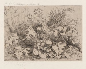 绽放的牛蒡，1858年。 作者 尤金·布莱