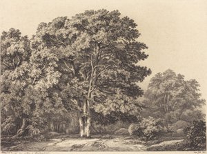 森林的入口，1840年。 作者 尤金·布莱