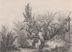 大水码头工厂，1840年。