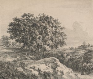Le chêne au ravin 沟渠边的橡树，1845年。 作者 尤金·布莱