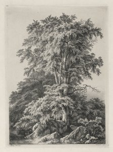 根据大自然绘制和雕刻的研究：海滩，枫丹白露 作者 尤金·布莱