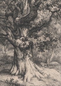 查理曼号，有鹰巢的橡树，1845年。 作者 尤金·布莱