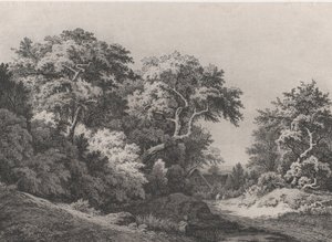树林的边缘，朗布依埃附近，1860年。 作者 尤金·布莱
