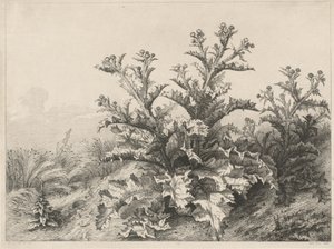 伟大的蓟马Le Grand Chardon, 1843年。