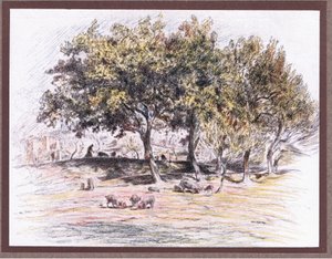 1919年，弗莱尔·杜松（Friar Juniper）切断了猪的脚，将它送给了一个生病的男人 作者 尤金·伯恩（Eugene Burnand）