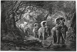 在进入森林的路上，探险队在大象的背上旅行。Eugene Burnand的版画，为P.Neis博士1880年的故事《上老挝之旅》作插图。发表于Le Tour du monde, nouveau journal des voyages, 2nd semester 18 作者 尤金·伯恩（Eugene Burnand）