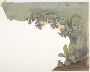 巴黎歌剧院的舞台布景设计，1830-90。 作者 尤金·西塞里